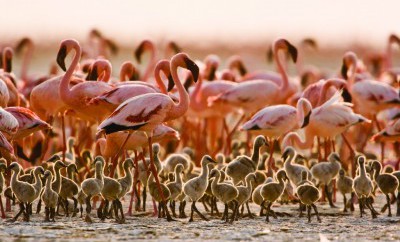 Avtours - Rondreis Tanzania
