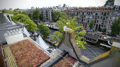 Groen dak